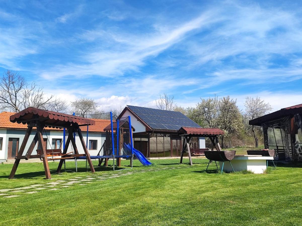 Pensiunea Casa Hortopan Тиргу-Жіу Екстер'єр фото